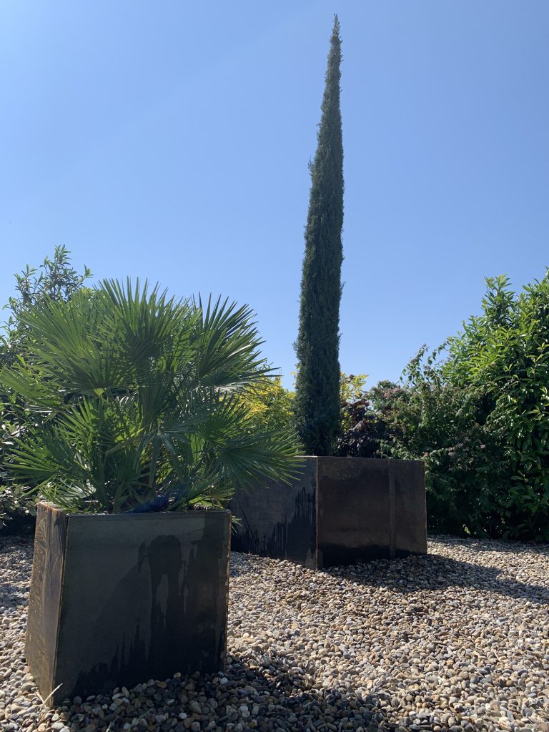 Livraison à domicile et plantation de Cypres de Toscane et Humilis à Cernay proche de Thann